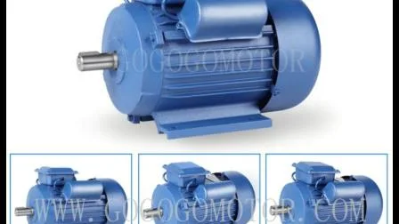 Yl Series Three Phase Induction Electric/Electrical AC Motor for Cooling Tower